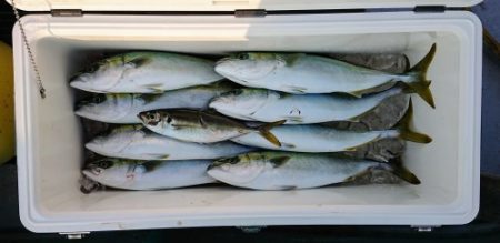 火遠理丸（ほおりまる） 釣果