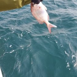 遊漁船 ニライカナイ 釣果