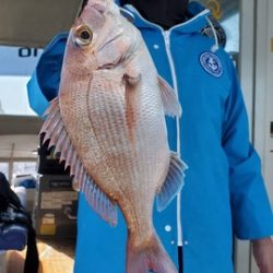 遊漁船 ニライカナイ 釣果