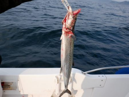 開進丸 釣果