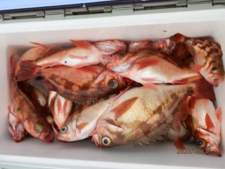 第二むつ漁丸 釣果