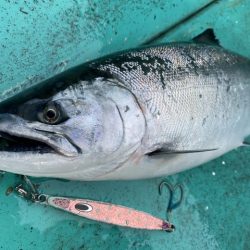 広進丸 釣果