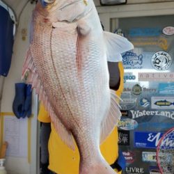 遊漁船 ニライカナイ 釣果