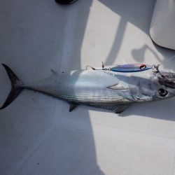 開進丸 釣果