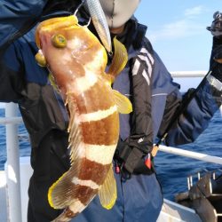 遊漁船 新鋭丸 釣果