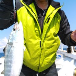 遊漁船 新鋭丸 釣果