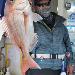 遊漁船 ニライカナイ 釣果