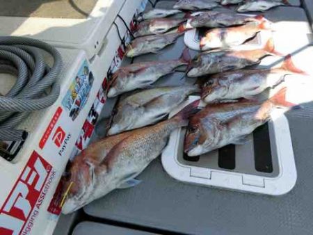 遊漁船 セトマリン 釣果