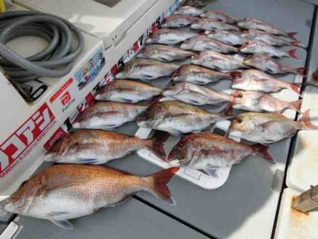 遊漁船 セトマリン 釣果