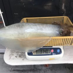 まると屋 釣果