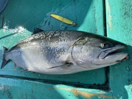広進丸 釣果
