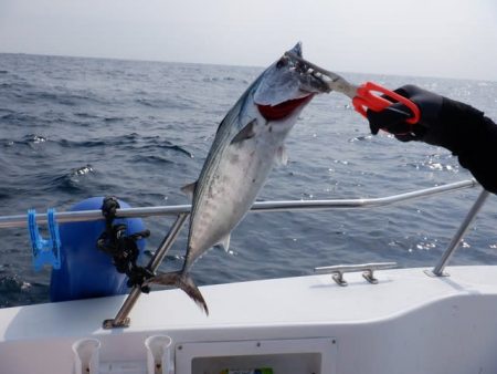 開進丸 釣果
