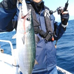 遊漁船 新鋭丸 釣果