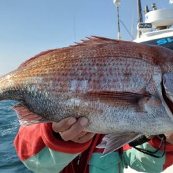 遊漁船 ニライカナイ 釣果