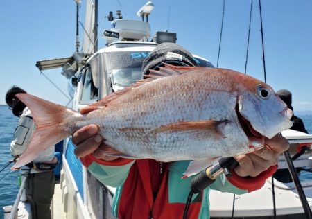 遊漁船 ニライカナイ 釣果