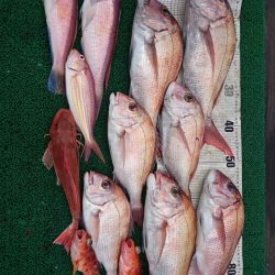 正幸丸 釣果
