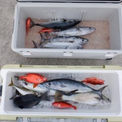 開進丸 釣果