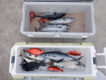 開進丸 釣果