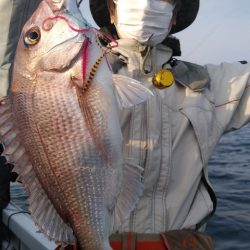 遊漁船 新鋭丸 釣果