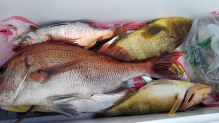 遊漁船 新鋭丸 釣果