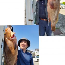 桑田観光 釣果