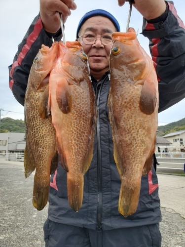 桑田観光 釣果