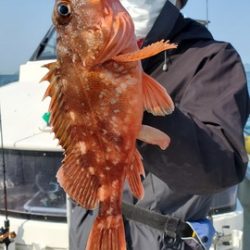 遊漁船 ニライカナイ 釣果