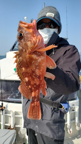 遊漁船 ニライカナイ 釣果