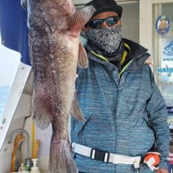 遊漁船 ニライカナイ 釣果