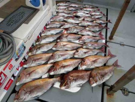 遊漁船 セトマリン 釣果