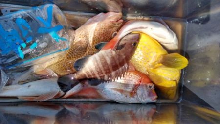 遊漁船 新鋭丸 釣果