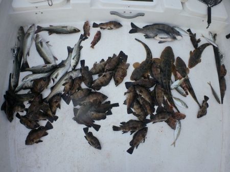 TOPGUN名古屋 釣果