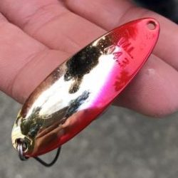 フィッシング サンクチュアリ 釣果