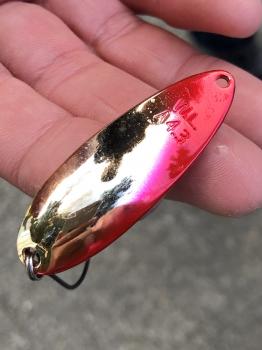 フィッシング サンクチュアリ 釣果