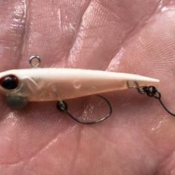 フィッシング サンクチュアリ 釣果