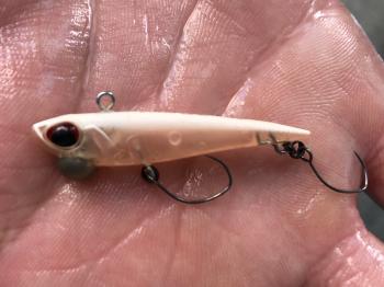 フィッシング サンクチュアリ 釣果