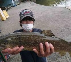 フィッシング サンクチュアリ 釣果