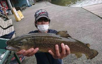 フィッシング サンクチュアリ 釣果