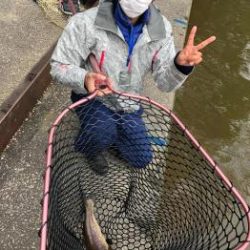 フィッシング サンクチュアリ 釣果