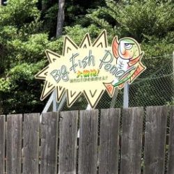 フィッシング サンクチュアリ 釣果