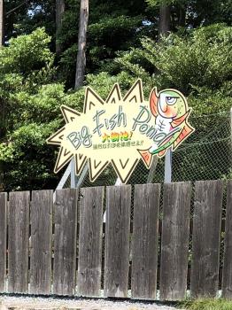 フィッシング サンクチュアリ 釣果