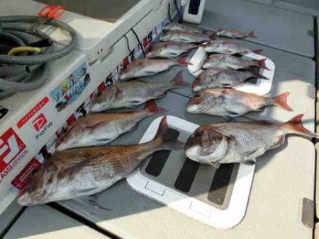 遊漁船 セトマリン 釣果