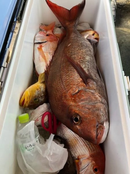 勇勝丸 釣果