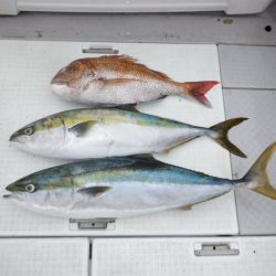 遊漁船 遊友 釣果