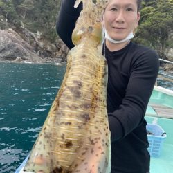 シードリーム 釣果