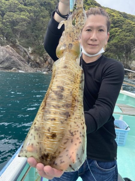 シードリーム 釣果