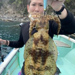 シードリーム 釣果