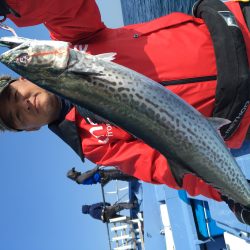 松鶴丸 釣果
