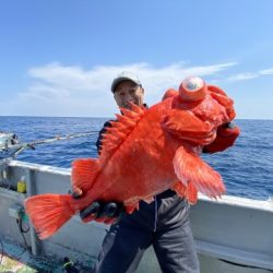 たいし丸 釣果