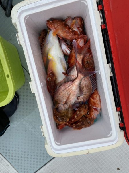 リトルワン 釣果